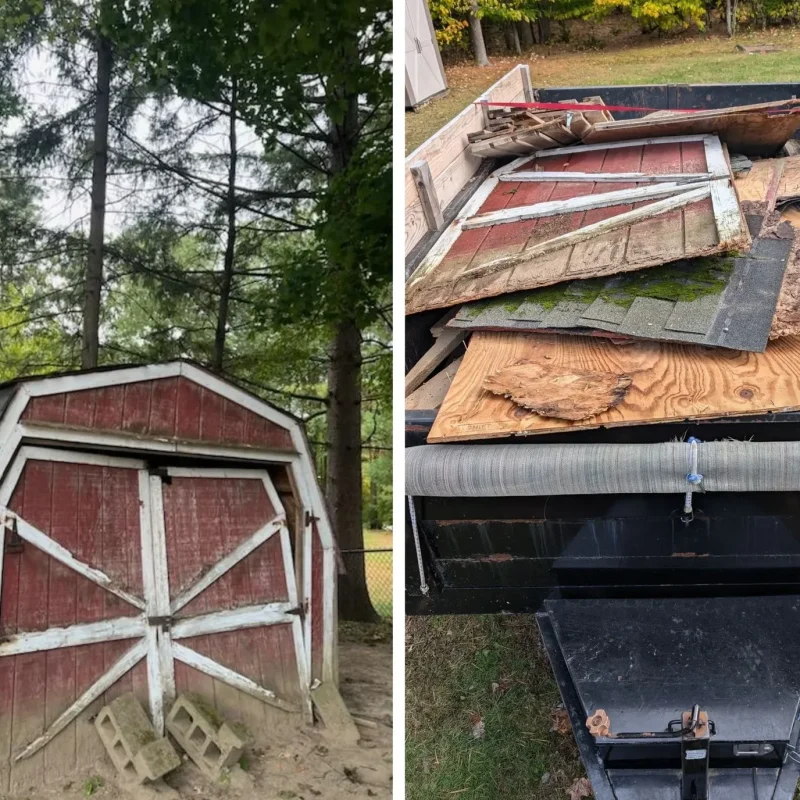 20241016_125438-COLLAGE-1920w